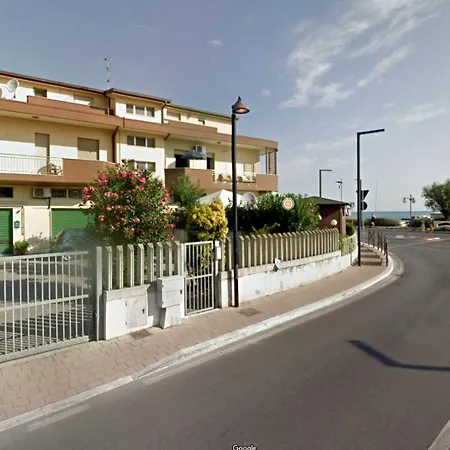 Palm House - Vista Mare